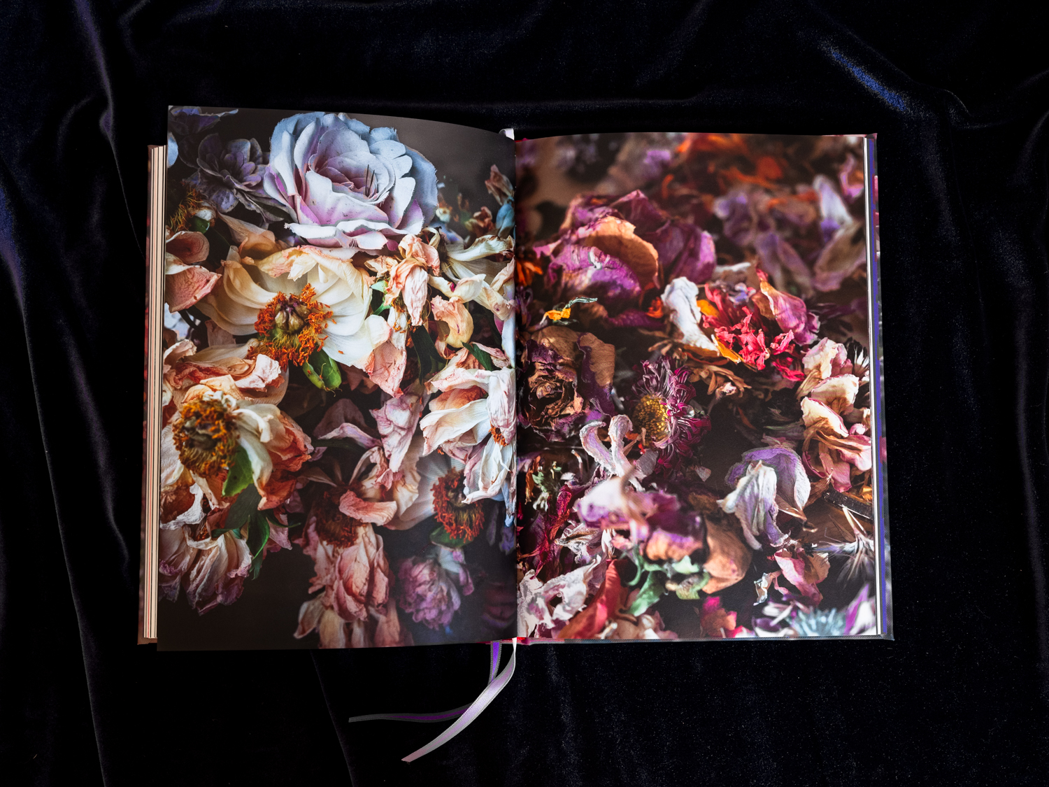 SZEŚĆ WAZONÓW - obrazek 14